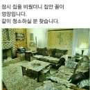 소.온 이미지