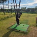 스윙(SWING)
