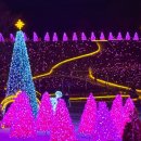 허브 식물과 향기의 이용 | 서울근교 여행 포천 허브아일랜드 야경 데이트