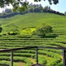 문화여관 이미지