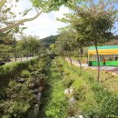 안태울캠핑장 이미지