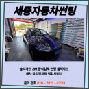 세종썬팅365카틴트솔라가드세종장군점
