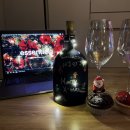 솔빈목장 | 2022년 12월 일상2