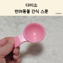 스푼 | 다이소 반려동물 간식 스푼｜바닥에 두는 고양이 츄르 스푼 후기