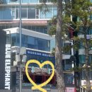 피자캐리어 | 오션뷰 피자 매드독스 광안리 맛집 추천 방문후기