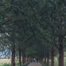 덕풍교옆 공원 이미지