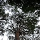 개인사유지 이미지