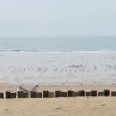 브라더꽈배기 - 화성시 동탄대로 637 | 브라더꽈배기