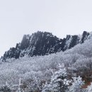 서석대 Daum카페