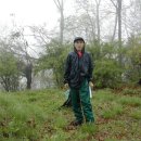 나, 비야 이미지