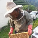 노적애뜰 이미지