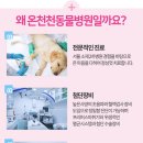 동래종합동물병원 이미지