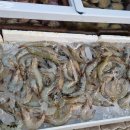 사천만수산