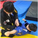 양산주짓수 | 양산 주짓수 보내고 진짜 달라진 것들