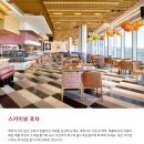 제주 야외수영장 / 그랜드키친뷔페(조식,석식) / 38층 스카이뷰 포차 조식 / 로비 갤러리라운지 카페