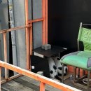 광진24시 필동물병원 | 11월,,