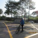 여주-0133 Daum카페