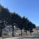 [농촌유학 면접 후기] &#39;사전 방문&#39; 이라 쓰고 &#39;면접&#39;이라 읽는다