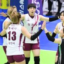 현대인삼 이미지