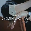 카페춘담 | 260124 | 데니안 팬미팅 2025 Danny's Day < Dan STUDIO > 후기 / 연세대학교 대강당 라구역 C열 시야