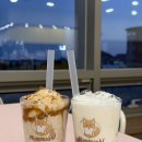 부산애견 | 부산 애견카페 애견운동장 멈무아 첫방문 후기