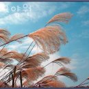 세화요양원 이미지