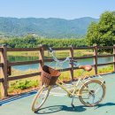 평택호1길 이미지