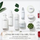 도담뷰티