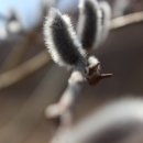 그리고 봄 펜션 민박 이미지