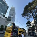 (주)노랑풍선시티버스 | 서울 야간투어 노랑풍선 시티버스 후기