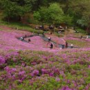 불암산나비정원 이미지