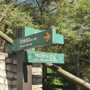 만월산 | 2025년 11월 인천종주길 철마산~만월산 등산 후기