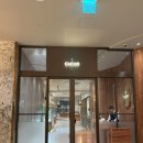 호텔카카오 | 카카오트리 호텔 뷔페 내돈내산 후기｜회·초밥 맛집 인정