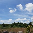 바당어부 이미지