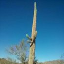 뉴멕시코와 주변 여행기 이미지