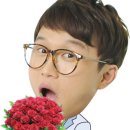 온니들