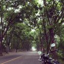 하오개로 이미지