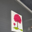 국민 세탁빨래방 이미지