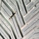 타이어월드 | 송파 타이어월드, 타이어 교체 후기