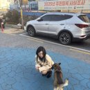 다담안경 | 바쁜 개미의 일탈