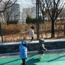 와우공원 이미지