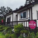 비타민 숲 이미지