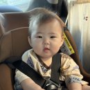 뚱냥한 하루 | 새벽배송 받는 닥터리의 로하스밀 이유식, 7개월아기 중기이유식 식단 패턴