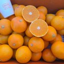 일중농장 이미지