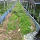 휴양림농장 이미지