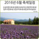 (사)한국농아인협회강원도협회 강릉시지회 | 2016년 6월 축제일정/고성라벤더축제/강릉단오제/부산센텀맥주축제/양주가면축제/고창수박축제/레인보우...