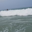 MoTel엠티 이미지