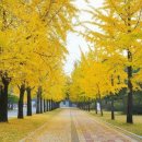 화려한 인생 이미지