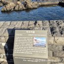 제주 창작무 | 4박5일 뚜벅이 제주여행 4 _ 오는정김밥 예약, 새서울두루치기, 유동커피, 골목사이카페 소품샵, 자구리...