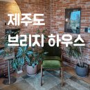 올레브릿지하우스 | 제주도 감성 에어비앤비, 브리지스튜디오 후기